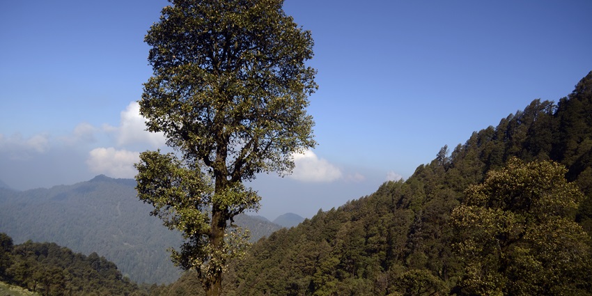 Exploring Renuka Wildlife Sanctuary is one of the best things to do in Nahan town