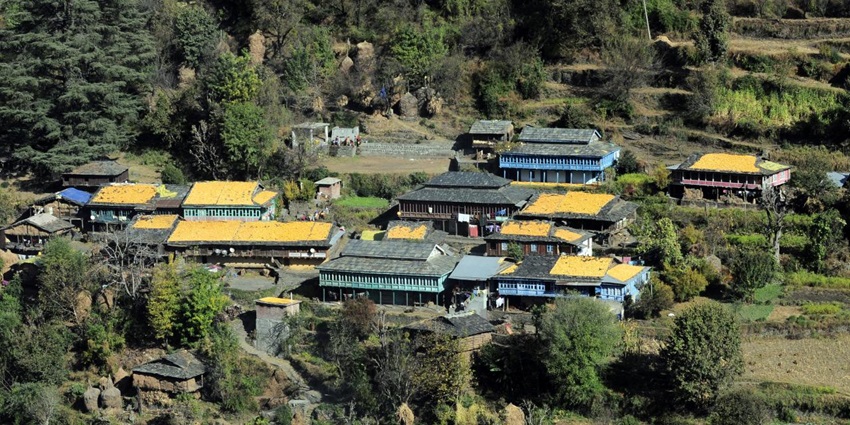Experience the authentic culture of Rajbans in Sirmaur District on things to do in Nahan