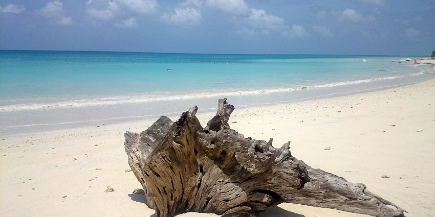 Expansive view of the Kalapathar Beach, one of the best things to see in Havelock.