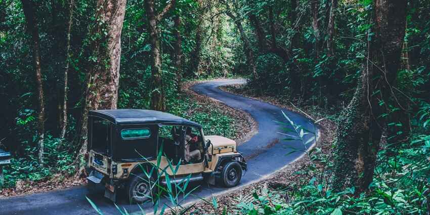 One of the best places to visit in Port Blair is this national park to see wildlife.