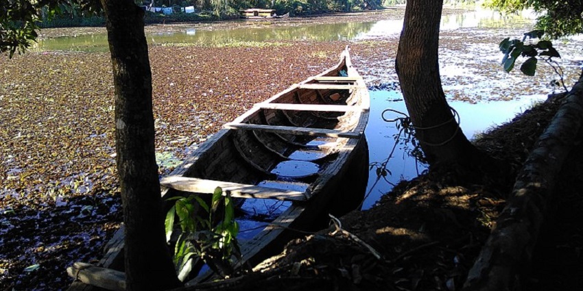 A boat in the waterbody next to an island