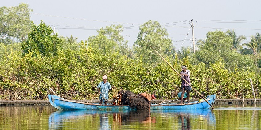 A group of fishermen at the Ashtamudi Lake, Kerala, casting their shallow nets