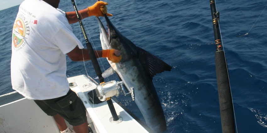 Game fishing is one of the main water sports in Havelock Island where you can grab a big catch
