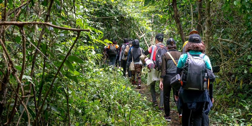 Havelock Island offers several thrilling jungle trekking trails with breathtaking views