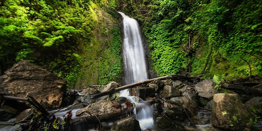 Long exposure shot of waterfalls in a forest, creating a silky smooth water effect.