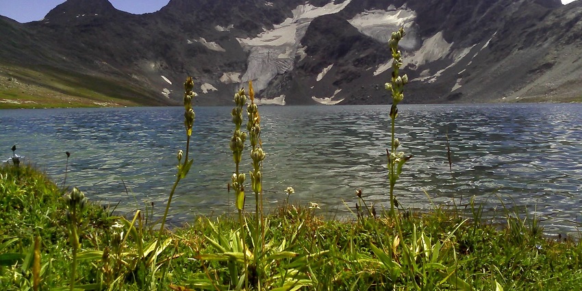 Gadsar Lake is one of the most pristine and splendid places to visit in Sonmarg in July