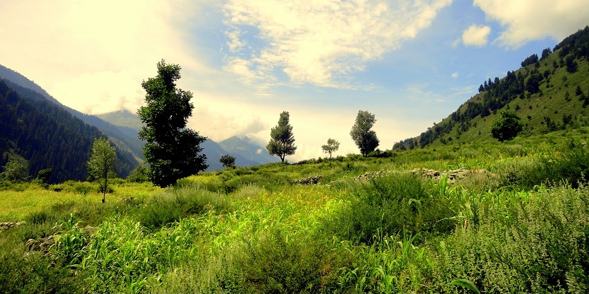 The beautiful scene of clouds and trees near Gaganir one of the offbeat places in Kashmir.
