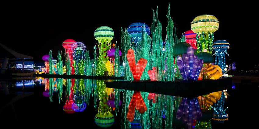 Garden Glow of Dubai offers enchanting views especially illuminating at night