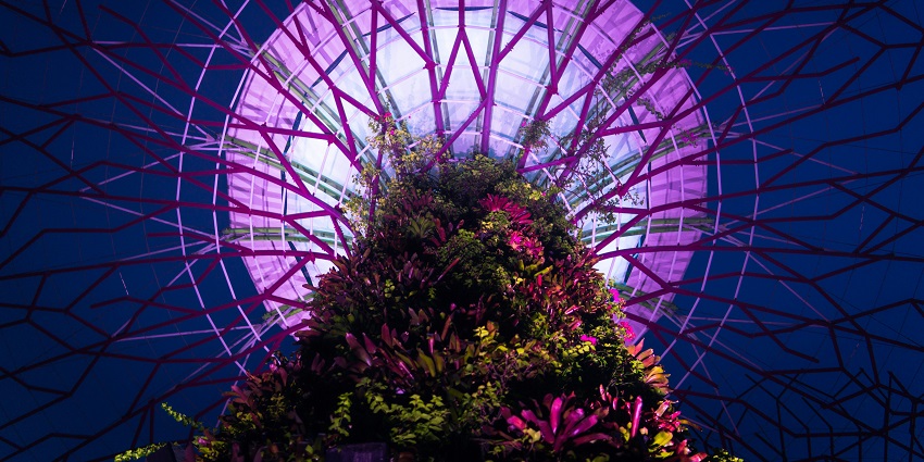 Gardens By The Bay is one of the best places to visit in Singapore in May for travellers.