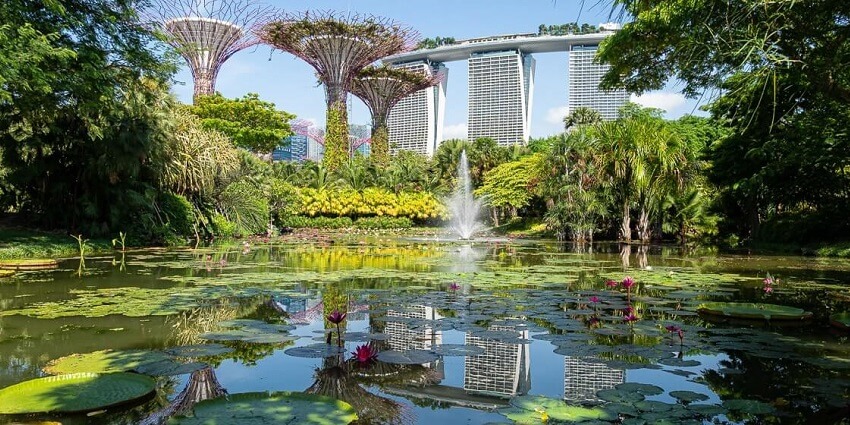 Gardens by the Bay is one of the best places to visit in Singapore for nature lovers.