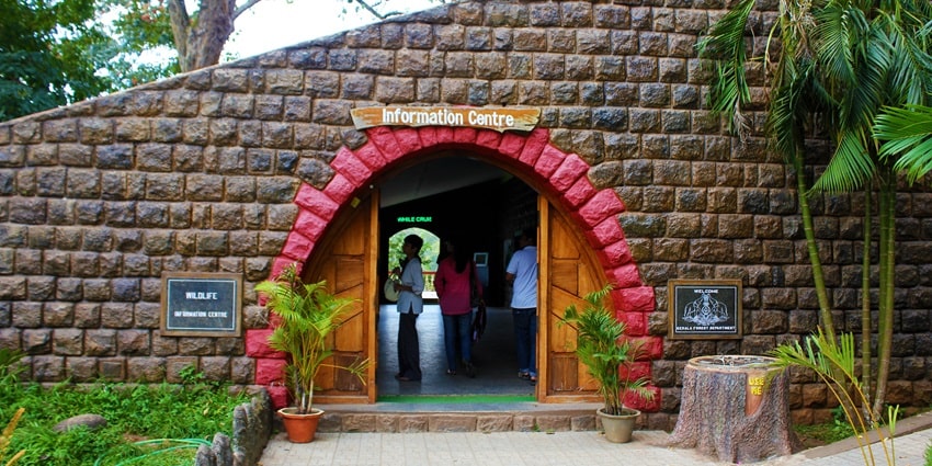 Gain knowledge about the biodiversity of the Periyar National Park, Thekkady, Kerala.