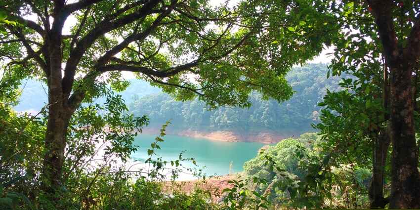 Gavi is a major highlight to visit near the Konni Elephant Museum.
