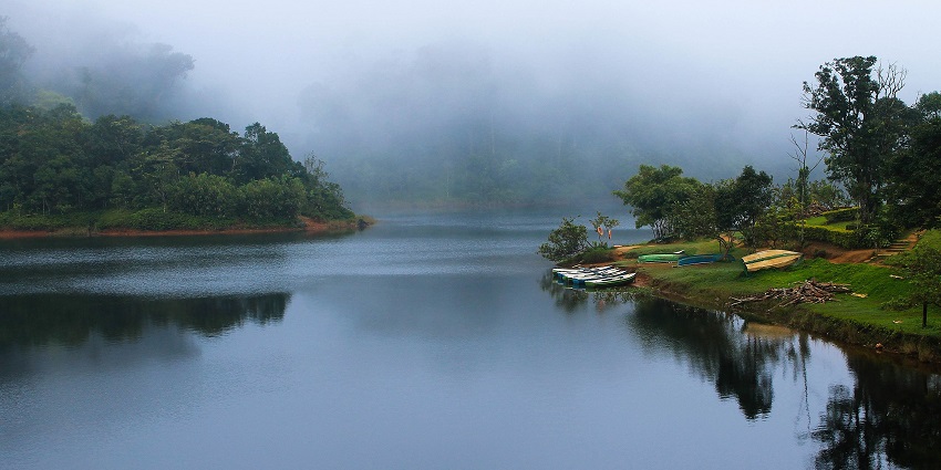 Serene view of the village, the fields and palm trees