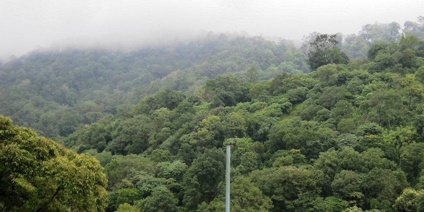 Gavi forest, with various species of flora and fauna, attracts a lot of eco-tourists.