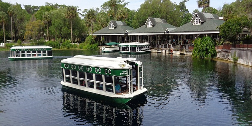 Glass bottom boat ride offers you a glimpse of marine life without getting in the water.