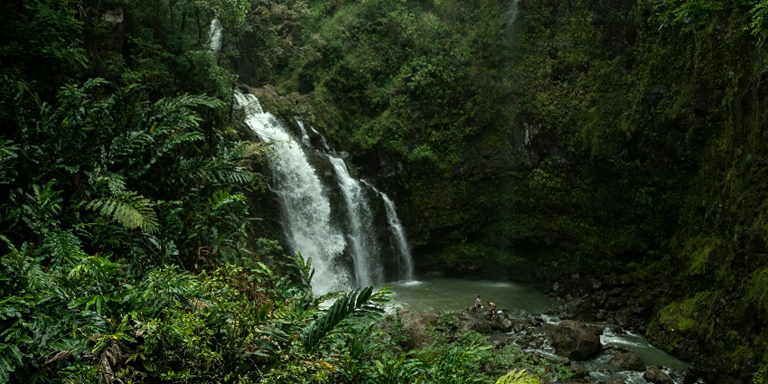 Goa Raja Watеrfall is one of the best waterfalls in Ubud for all you photographers