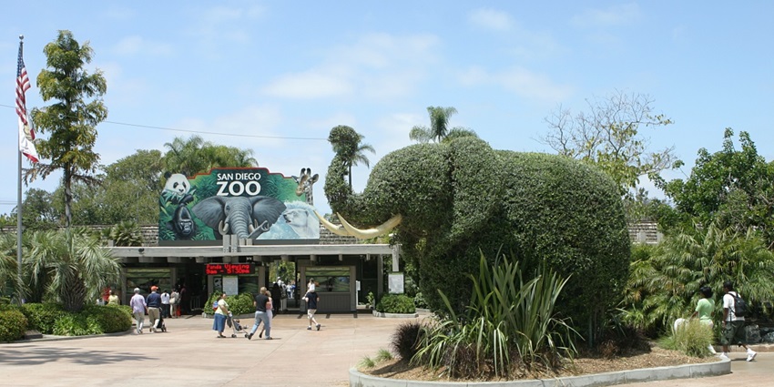 Visit Gopalpur Zoo to meet some endangered species like black bear, leopard, and more.