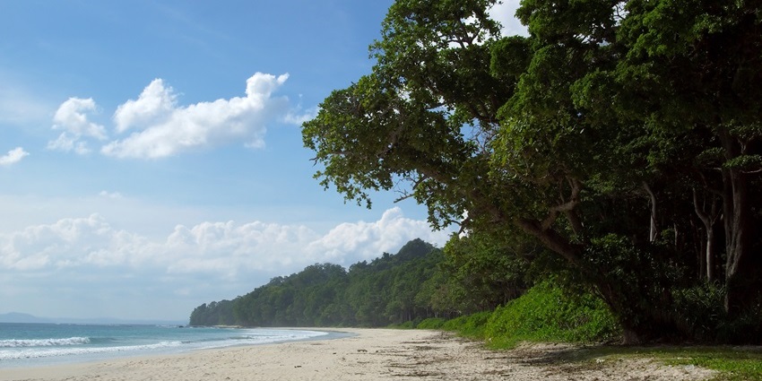 Shallow waters and palm-lined shorelines define Govind Nagar’s peaceful beaches.