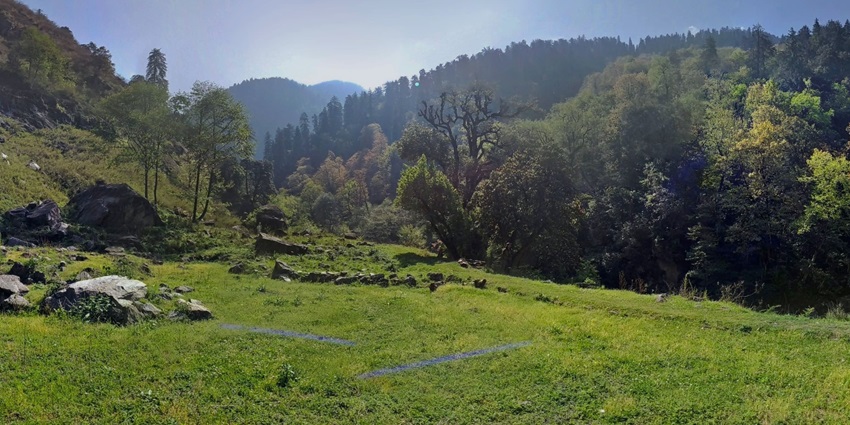 Lush landscape of the Great Himalayan National Park, one of the largest national parks