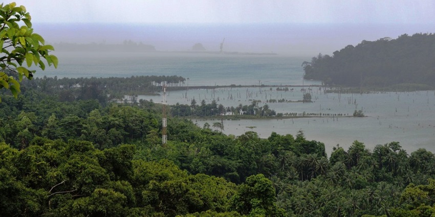 View of Great Nicobar Biosphere Reserve, showcasing lush greenery and diverse ecosystems