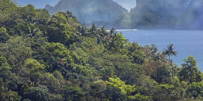 View of rainfall in the forest adjacent to the Great Nicobar Biosphere Reserve
