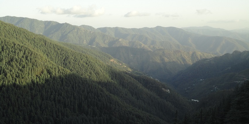 One of the largest green cover in asia available in our shimla - explore Green Valley