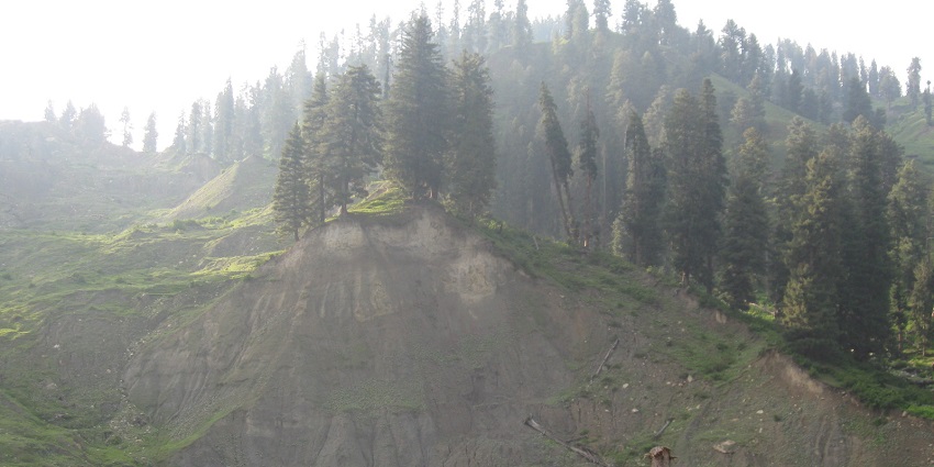 The wildlife sanctuary in J&K has steep cliffs that are difficult to traverse and climb