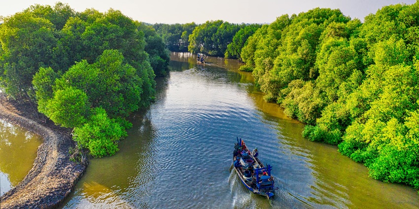 Discovering lush mangroves is one of the top thrilling things to do in Havelock Island.