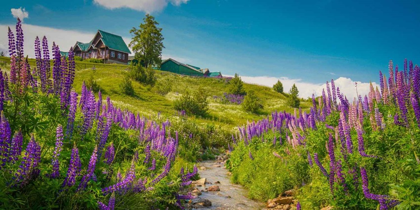 Popular skiing spot in Pir Panjal Range, Gulmarg, one of the places to visit in Kashmir.