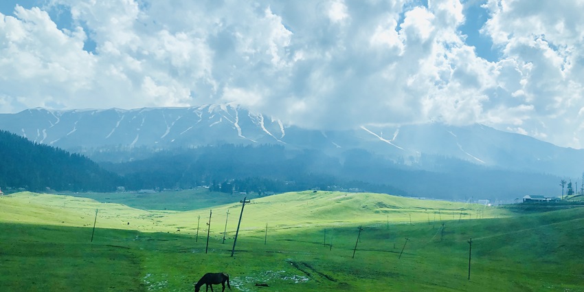 Gulmarg is indeed one of the best places to visit in Kashmir in August with your family.