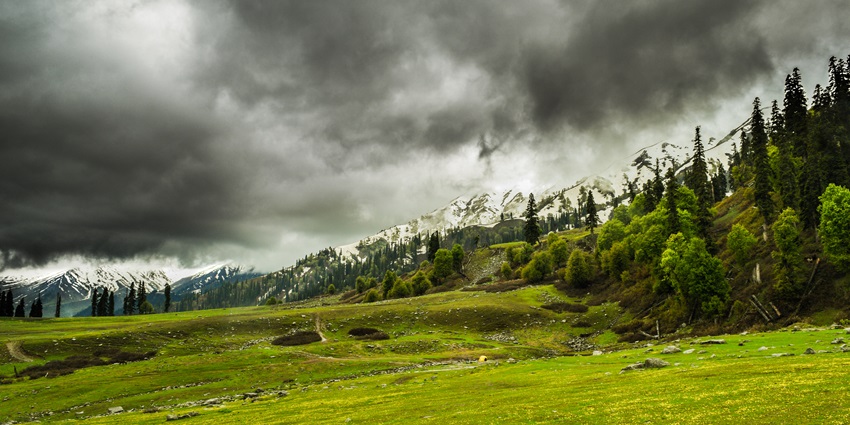 Get to explore the nearby area in Gulmarg during your visit to the wildlife sanctuary.