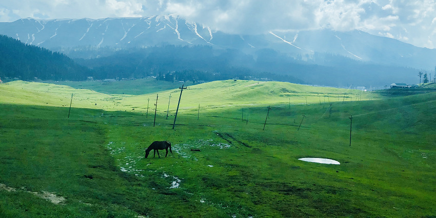 Valley of Gulmarg one of the most beautiful places to visit near Srinagar, India.