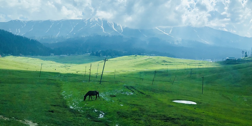 Gulmarg offers picturesque landscapes and opportunities for several adventure activities.