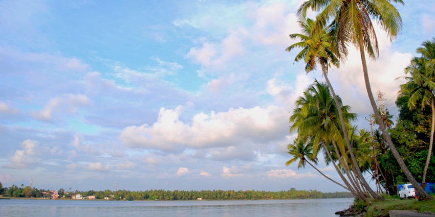 Lush green landscape showcasing Kerala’s natural beauty and dense tropical vegetation