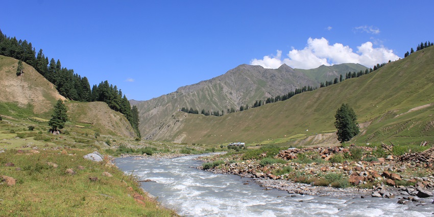 A picture of a river flowing through the beautiful Gurez Valley, surrounded by greenery