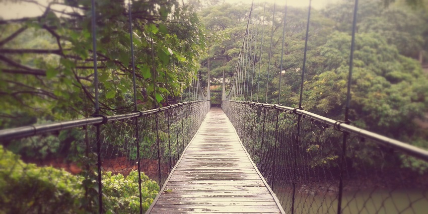 Enjoy the adventurous time in the Thenmala Ecoturoism, near Jatayu Earth's Centre.