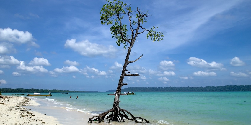 Havelock Island is a famous tourist place attracting hundreds of visitors every day.