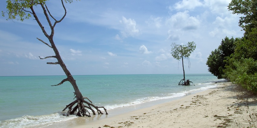 Featuring white sandy beaches and crystal-clear waters - places to visit in March in India