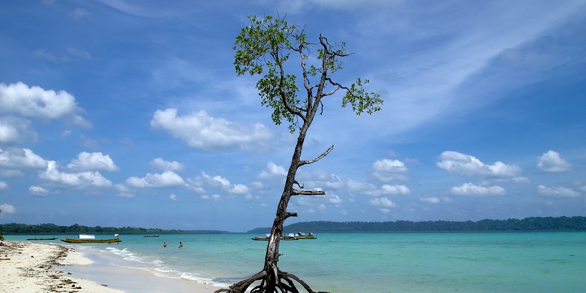Havelock Island is a beautiful and popular tourist attraction in the Andaman Islands.