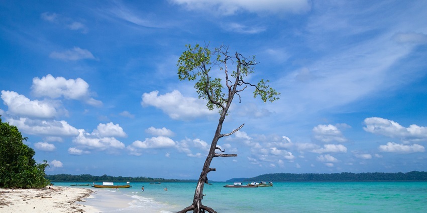 Andaman archipelago is a juicy blend of tropical flavors, trees, sunny and exotic
