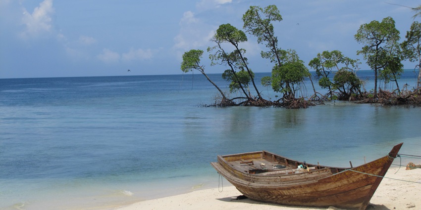 An astonishing view of Havelock Island featuring shimmering blue waters.