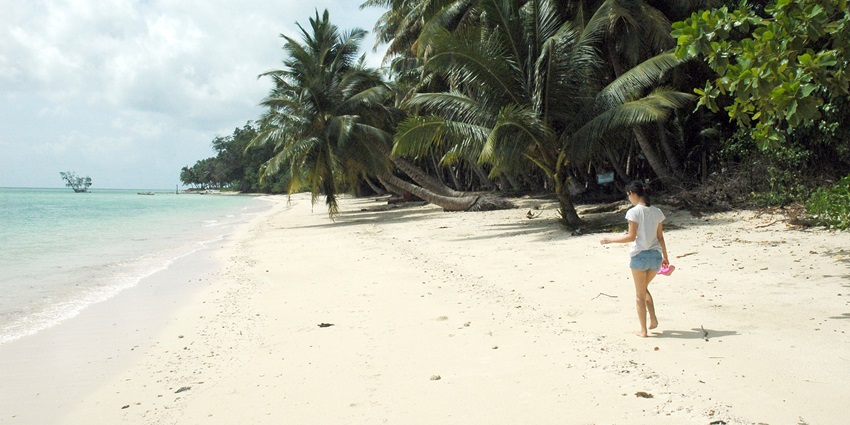 A view of Havelock Island’s sunny landscapes and dense forests that are perfect to explore