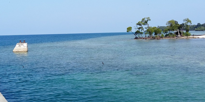 Visit Havelock Island during October to May as the sea is calm and quiet during this time