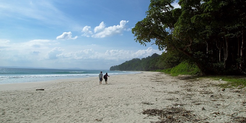 Stunning view of Radhanagar Beach on Havelock Island with white sands and blue water