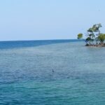 A distant view of Havelock Island with its turquoise blue waters and trees in the middle