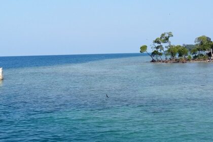 A distant view of Havelock Island with its turquoise blue waters and trees in the middle