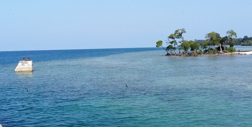 A distant view of Havelock Island with its turquoise blue waters and trees in the middle