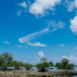 A breathtaking view of Havelock Island with turquoise waters and lush green trees.