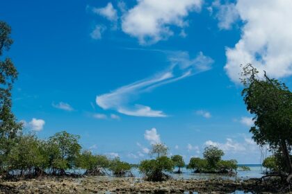 A breathtaking view of Havelock Island with turquoise waters and lush green trees.