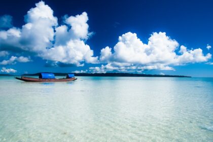 An enchanting view of Havelock Island with soft sand beaches and crystal clear waters.